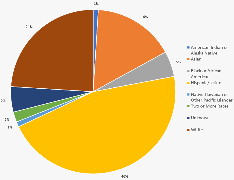 Pie Chart: Division race demographic
