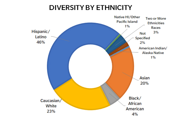Division Diveristy by Ethnicity