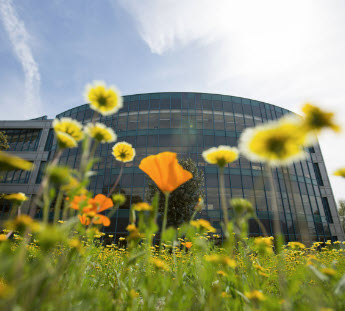 Pollak Library with Flowers