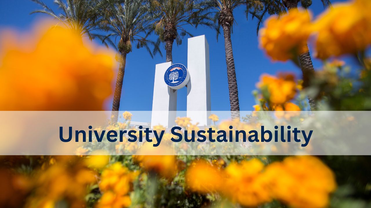 University Sustainability